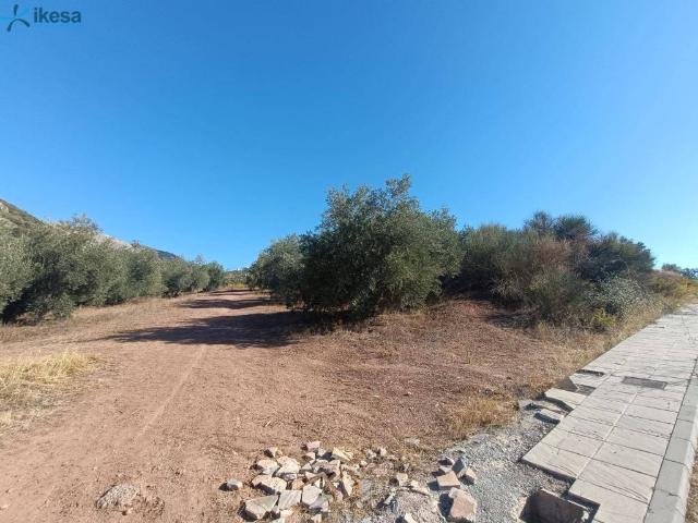 Terreno en venta en Comarca de la Vega de Granada, Andalucía