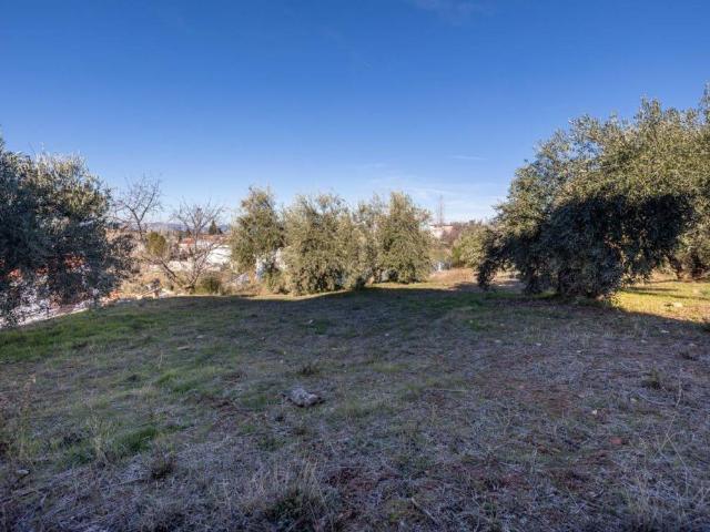 Terreno en venta en Comarca de la Vega de Granada, Andalucía
