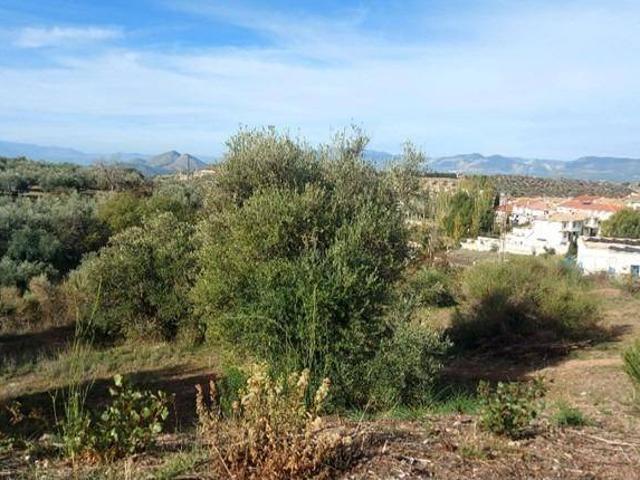 Terreno en venta en Comarca de la Vega de Granada, Andalucía