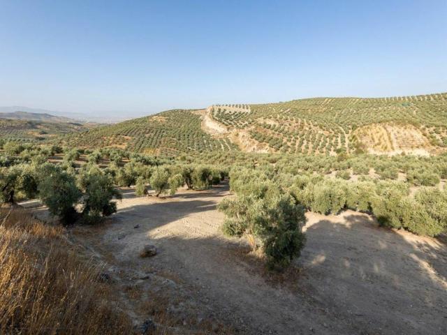 Terreno en venta en Comarca de la Vega de Granada, Andalucía