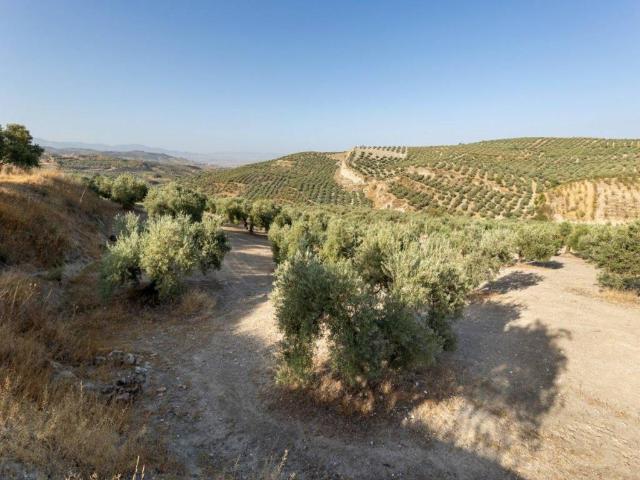 Terreno en venta en Comarca de la Vega de Granada, Andalucía