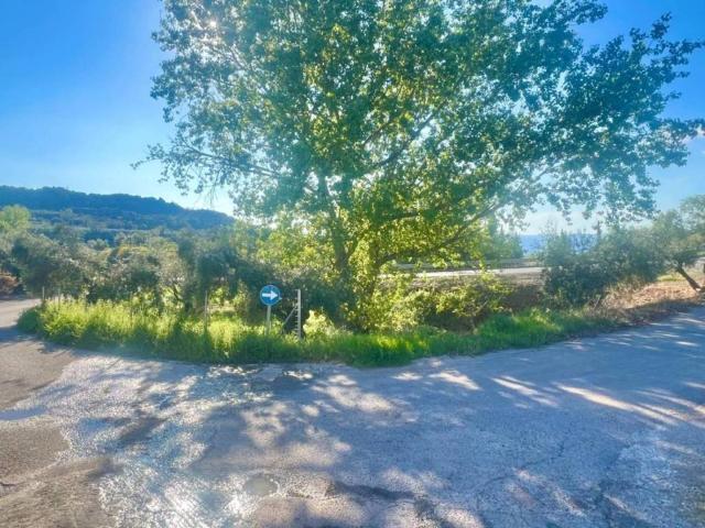 Terreno en venta en Comarca de la Vega de Granada, Andalucía
