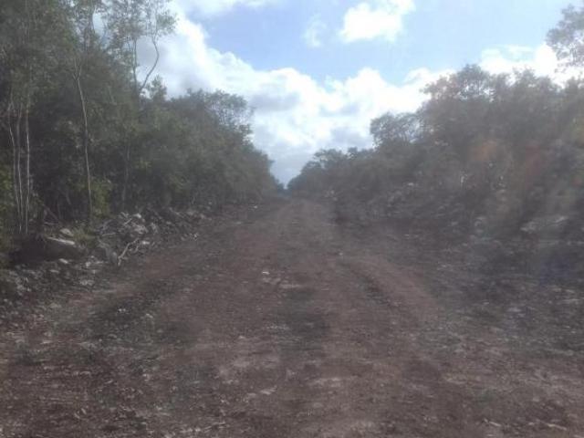 Terreno en venta en NODO