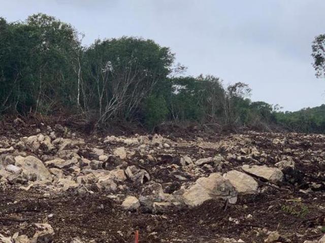 Terreno en venta en NODO