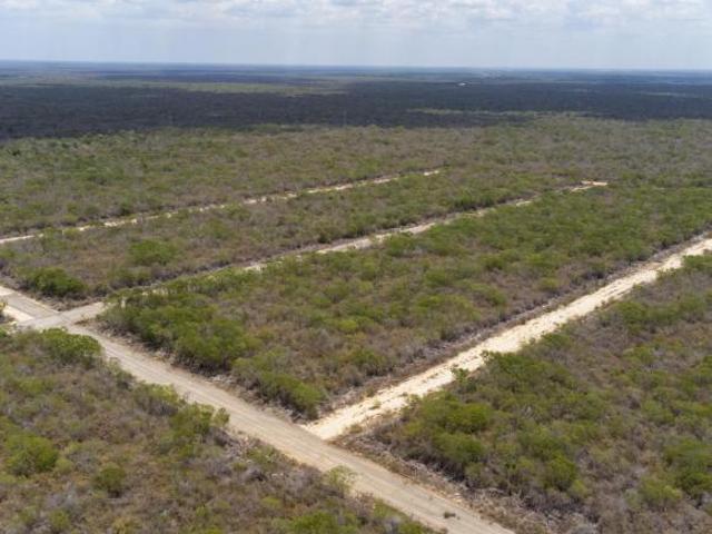 Terreno en venta en NODO