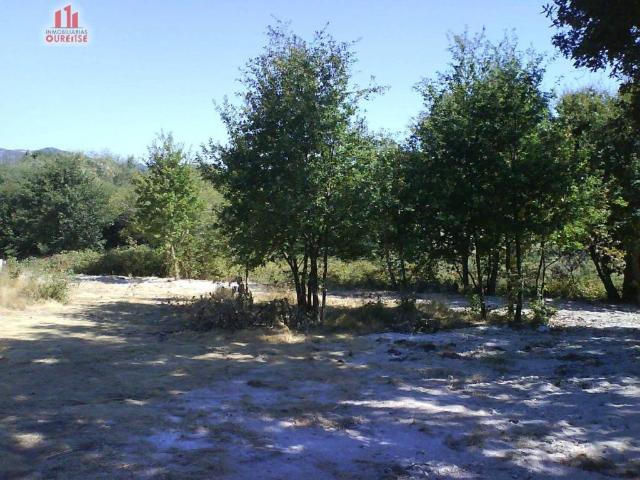 Terreno en venta en Nogueira De Ramuín