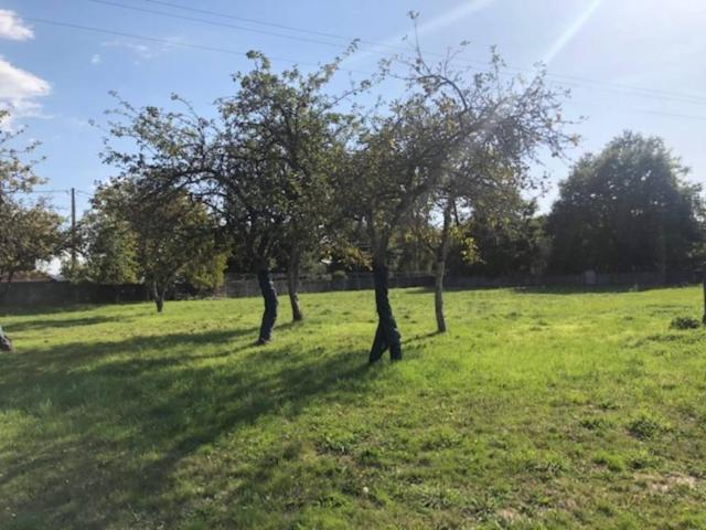 Terreno en venta en Nogueira De Ramuín