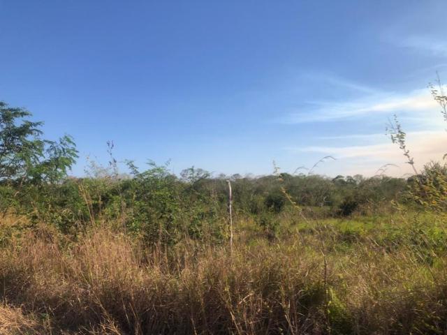 Terreno en venta en Tekax de Álvaro Obregón, Tekax