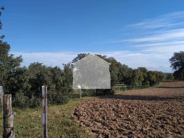 Terreno en venta en Nombela, Castilla-La Mancha