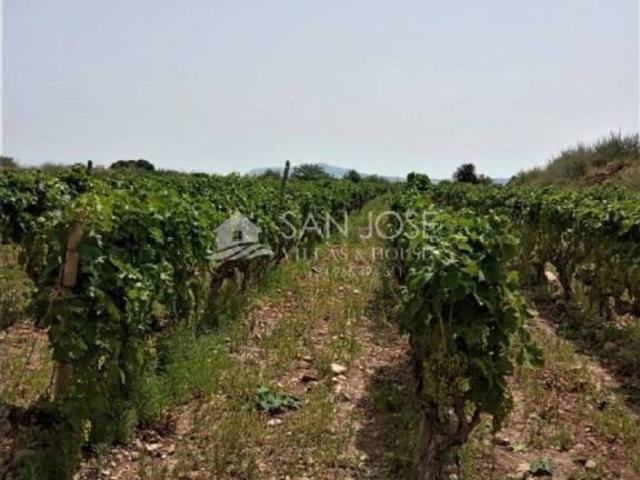 Terreno en venta en el Vinalopó Mitjà / El Vinalopó Medio, Valencia