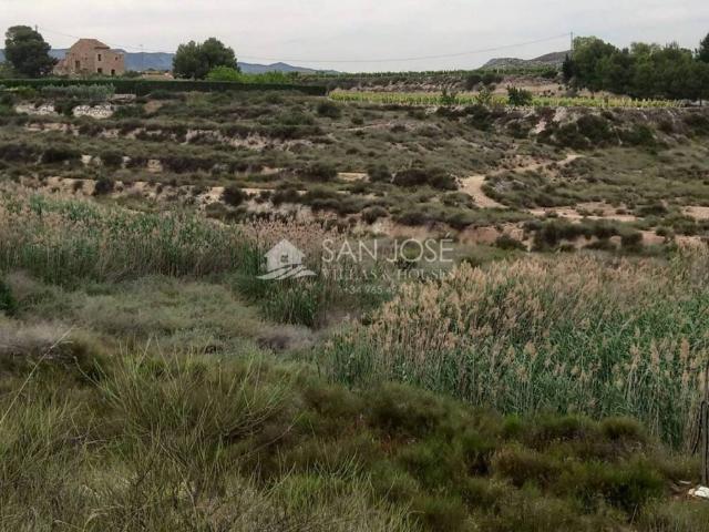 Terreno en venta en el Vinalopó Mitjà / El Vinalopó Medio, Valencia