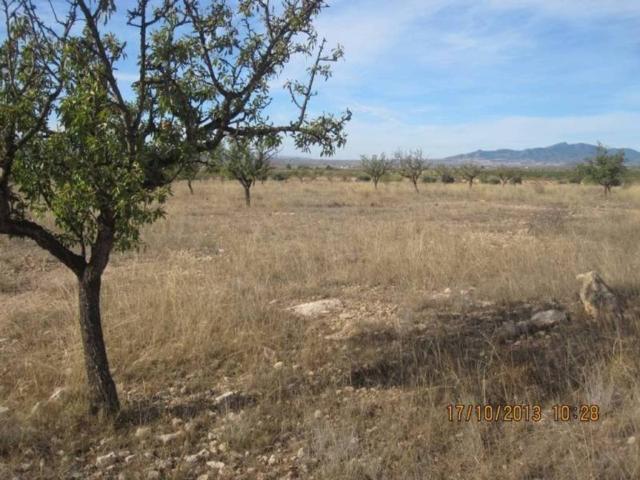 Terreno en venta en el Vinalopó Mitjà / El Vinalopó Medio, Valencia