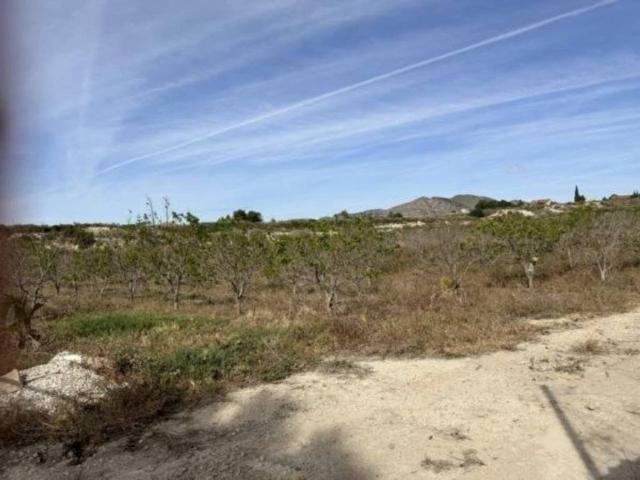 Terreno en venta en el Vinalopó Mitjà / El Vinalopó Medio, Valencia
