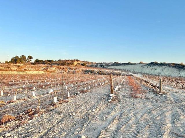 Terreno en venta en el Vinalopó Mitjà / El Vinalopó Medio, Valencia