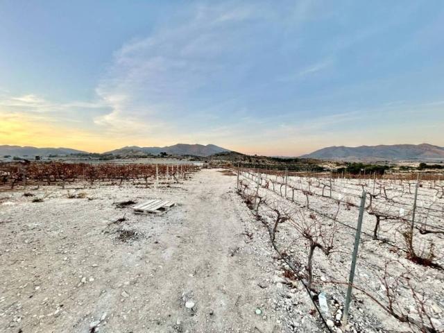 Terreno en venta en el Vinalopó Mitjà / El Vinalopó Medio, Valencia