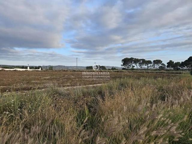 Terreno en venta en el Vinalopó Mitjà / El Vinalopó Medio, Valencia