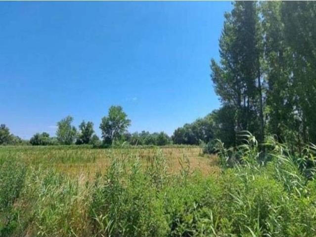 Terreno en venta en Campo de Borja, Aragón
