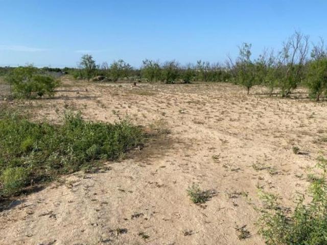 Terreno en venta en San Juan De Sabinas, Coahuila