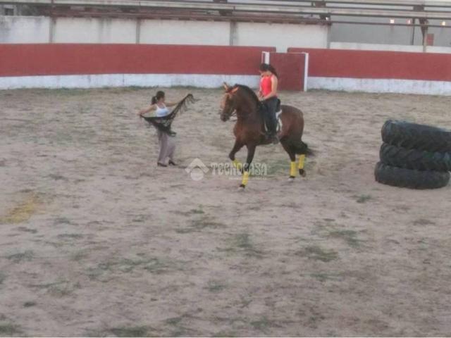 Terreno en venta en Nueva Villa De Las Torres, Castilla y León