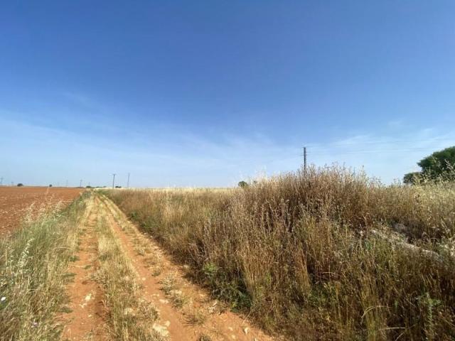 Terreno en venta en Nuevo Baztán, Madrid