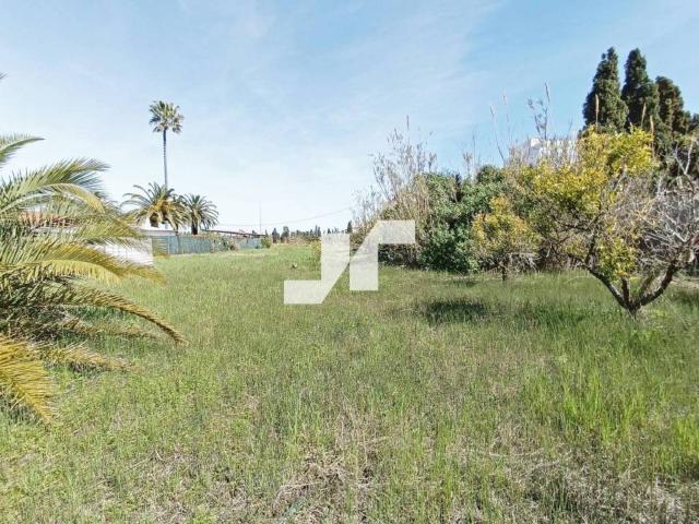 Terreno en venta en la Plana Baixa, Valencia