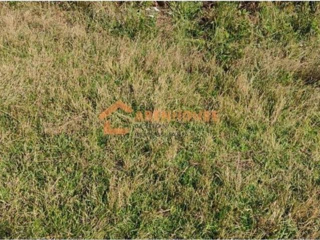 Terreno en venta en O Carballiño, Galicia