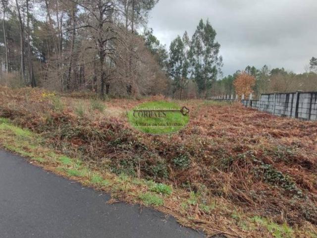 Terreno en venta en O Carballiño, Galicia