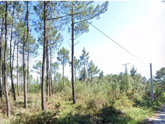 Terreno en venta en O Grove, O Salnés