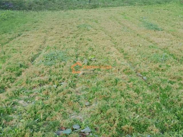 Terreno en venta en O Irixo