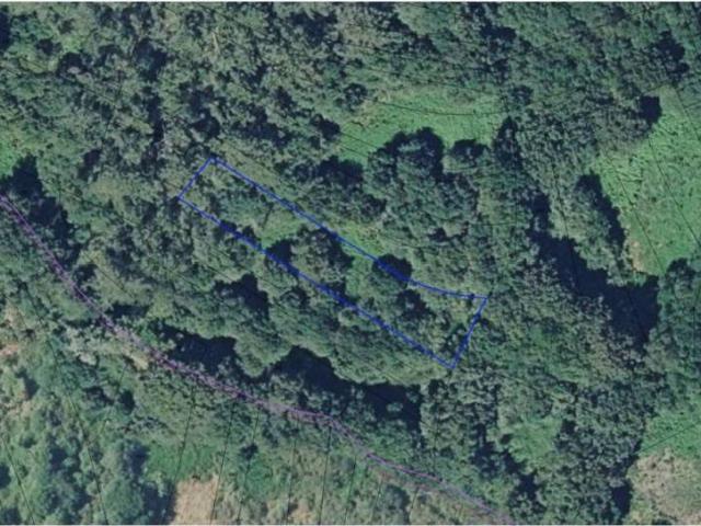 Terreno en venta en O Carballiño, Galicia