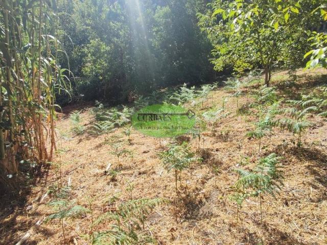 Terreno en venta en Ourense, Galicia