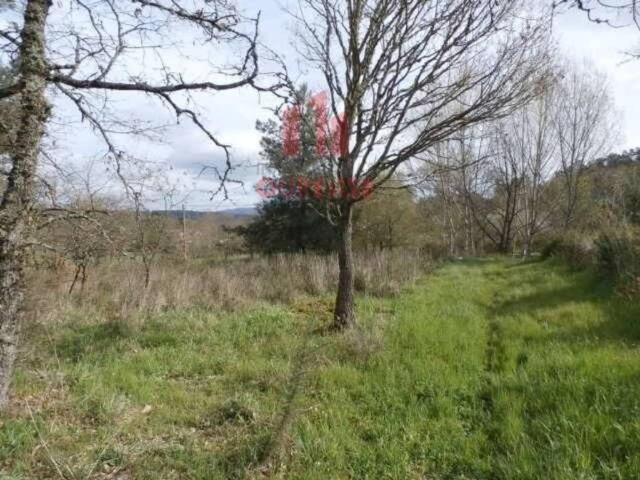 Terreno en venta en Ourense, Galicia