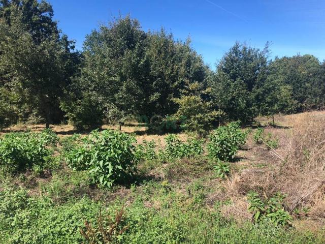 Terreno en venta en Ourense, Galicia