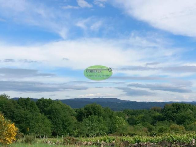 Terreno en venta en O Pereiro De Aguiar