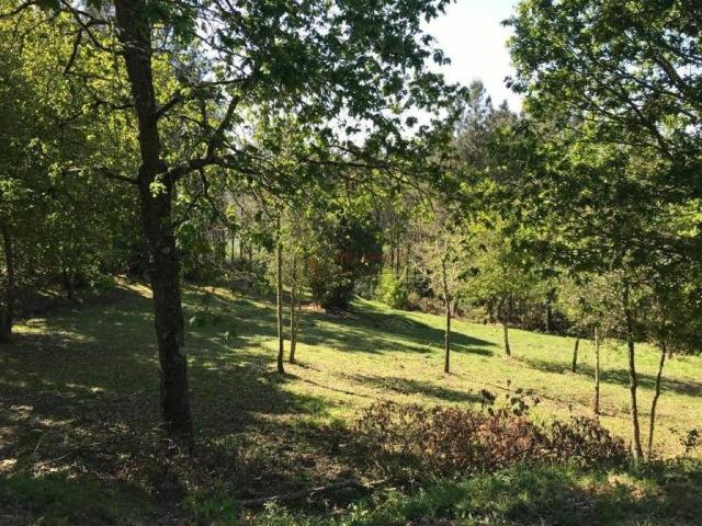 Terreno en venta en Ourense, Galicia
