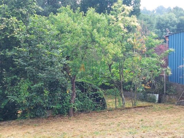 Terreno en venta en Ourense, Galicia