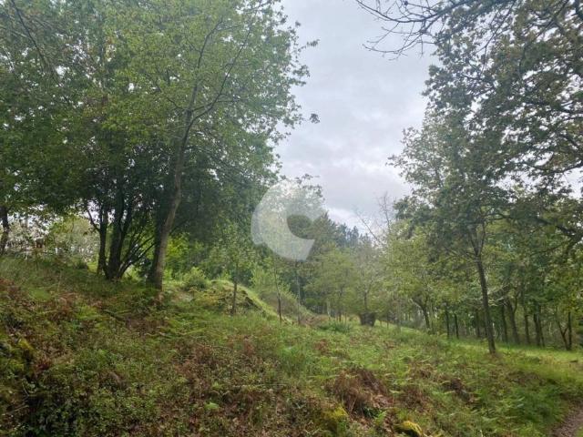 Terreno en venta en Ourense, Galicia