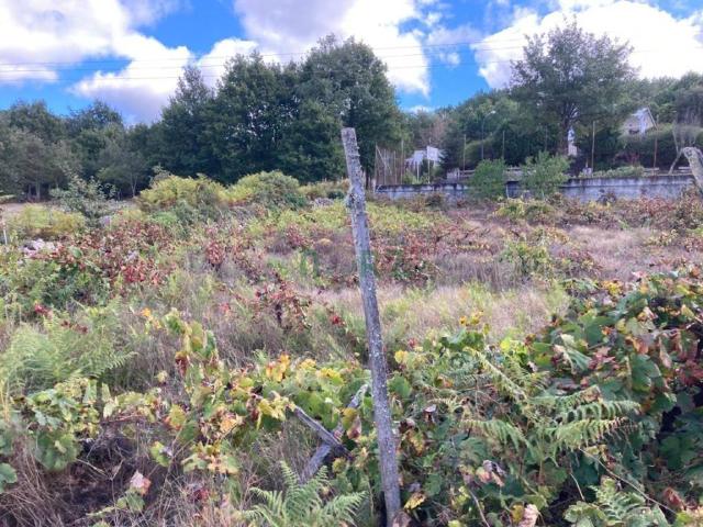 Terreno en venta en O Pereiro De Aguiar