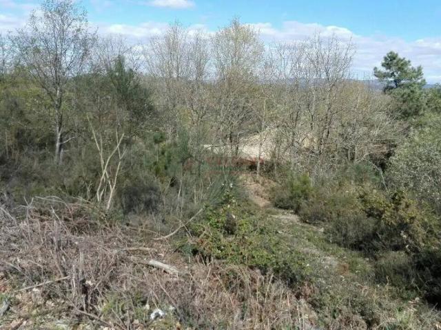Terreno en venta en Ourense, Galicia