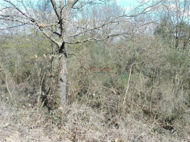 Terreno en venta en Ourense, Galicia