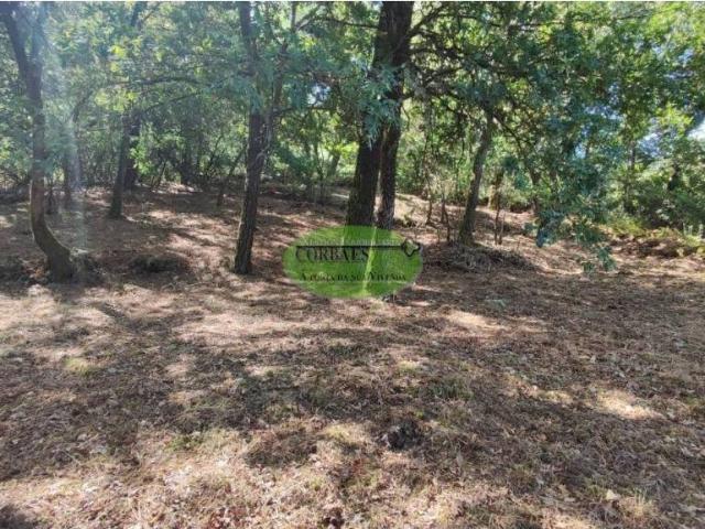 Terreno en venta en Ourense, Galicia