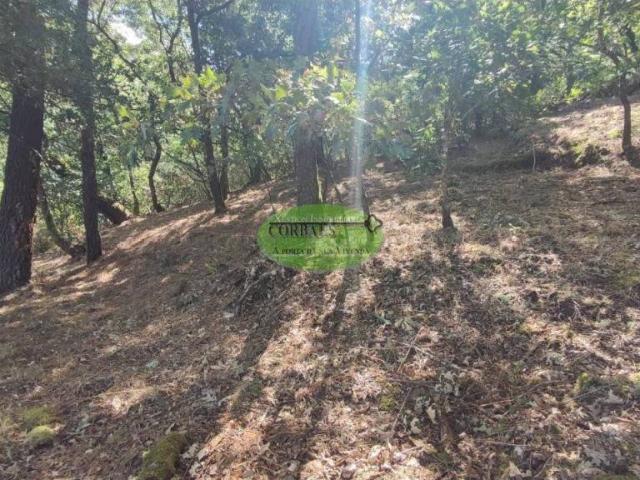 Terreno en venta en Ourense, Galicia