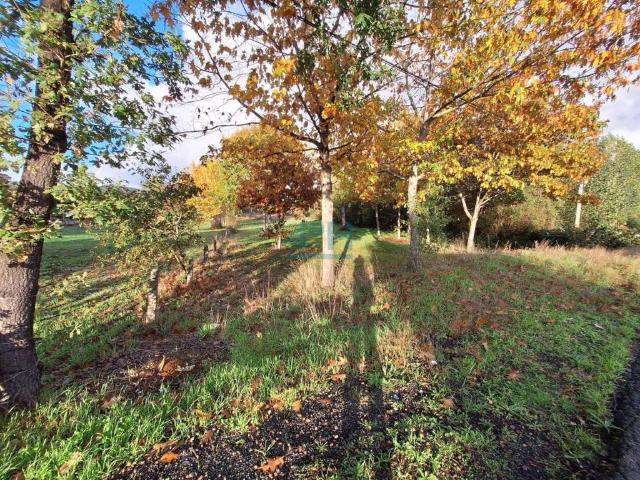 Terreno en venta en O Pereiro De Aguiar