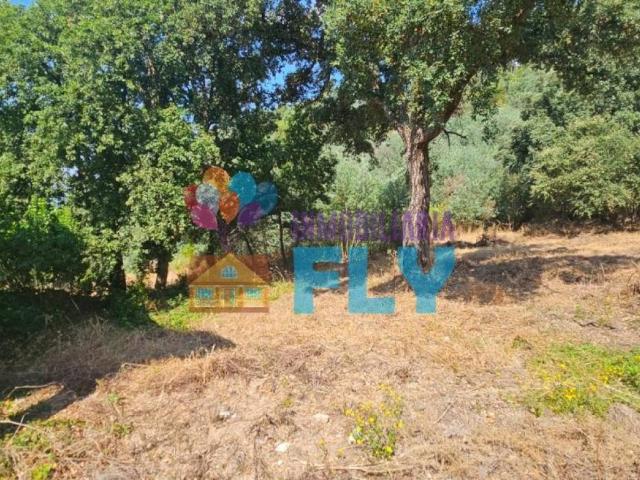 Terreno en venta en Ourense, Galicia