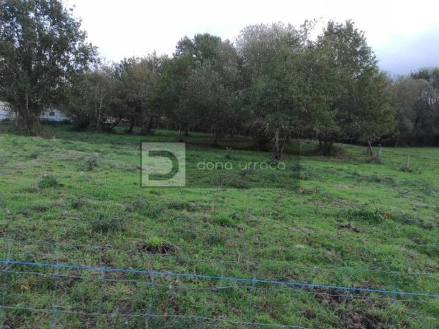 Terreno en venta en O Pereiro De Aguiar