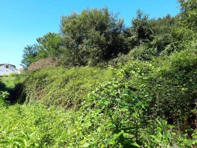 Terreno en venta en O Porriño, Vigo