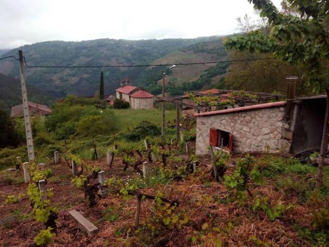 Terreno en venta en O Saviñao