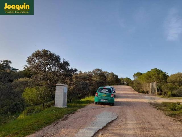 Terreno en venta en Obejo, Andalucía