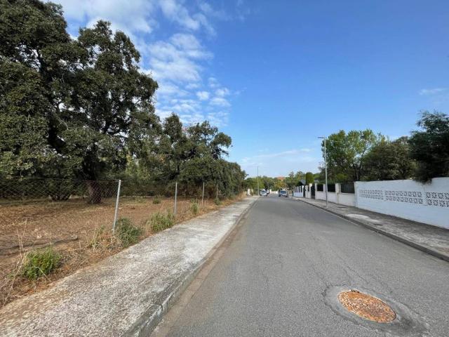 Terreno en venta en Obejo, Andalucía