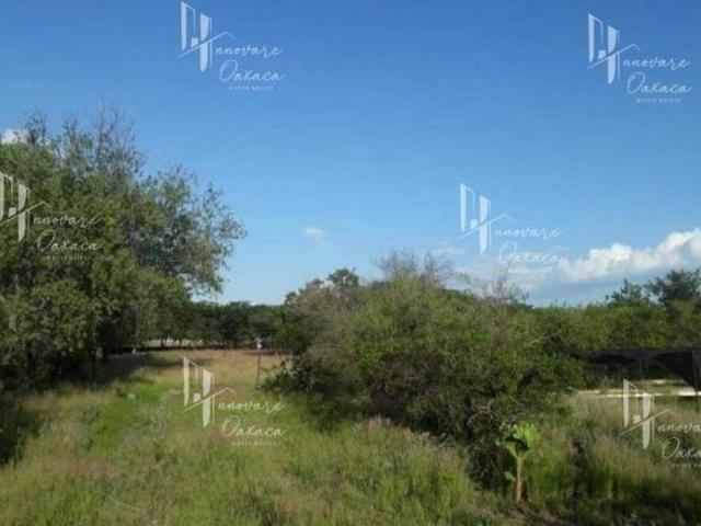 Terreno en venta en Ocotlán De Morelos, Oaxaca